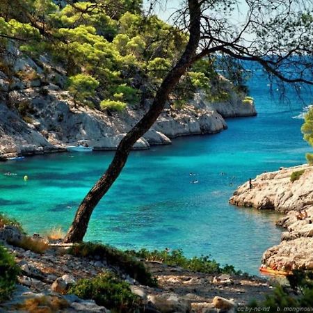 Ciotat Colada Beau Duplex Atypique A 50 M Du Port Classe 3 Etoiles La Ciotat Exteriör bild